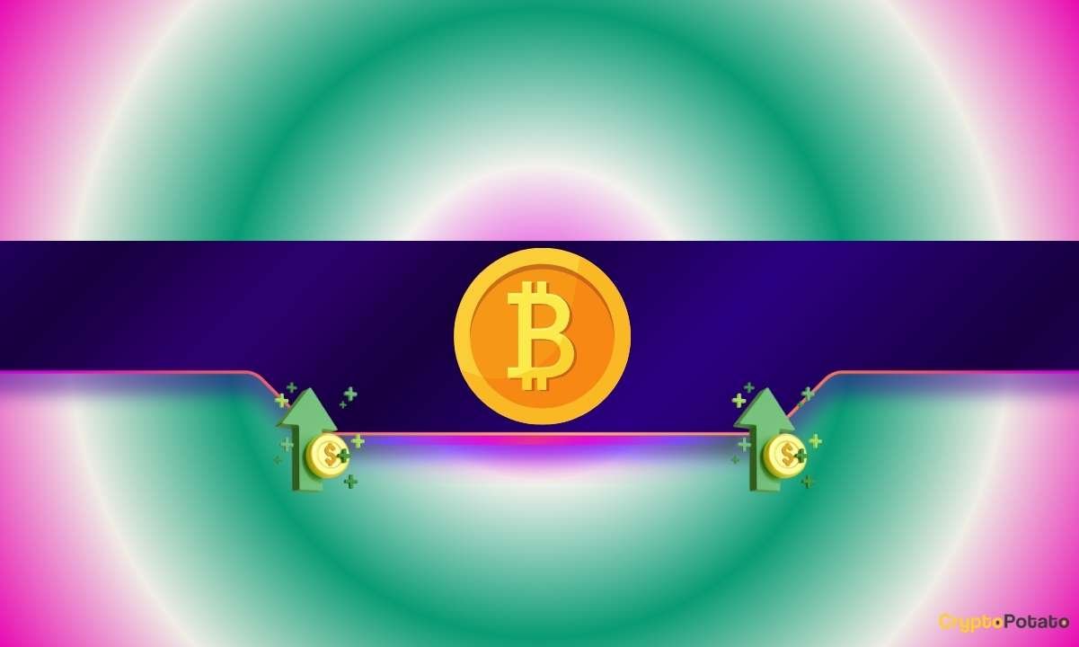 This Oversold Sign Has Triggered 350%, 1,800%, and a couple of,700% Bitcoin Surges Earlier than