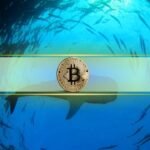 Are Whales Tightening Their Grip on Bitcoin Alternate Provide?