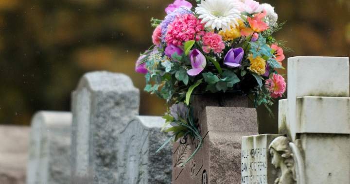 Potential gentle present at Canada’s largest cemetery causes controversy – Montreal