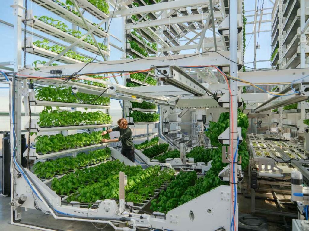Canopii seems to succeed the place previous indoor farms haven’t