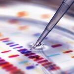 Why scientists cannot get fun