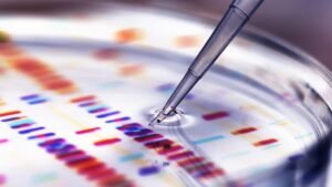 Why scientists cannot get fun