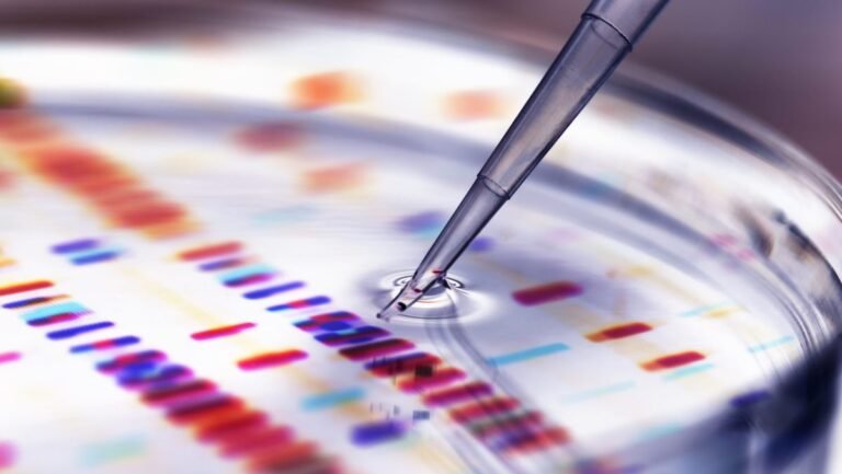 Why scientists cannot get fun