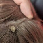 Merritt father warns others after medical emergency involving his younger son – Okanagan