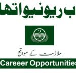 Punjab Income Authority Jobs in Punjab March 2026 Commercial – PPSC Newest Vacancies
