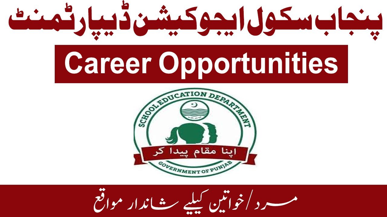 College Schooling Division Jobs in Punjab March 2026 Commercial