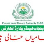Punjab Land Information Authority Jobs March 2026 Commercial