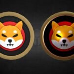 Can Shiba Inu Nonetheless Make A Comeback? Lack Of Replace On Shibarium L3 Proves To Be A Downside