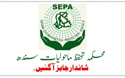 Surroundings Safety and Local weather Change Division Jobs in Sindh March 2026 Commercial