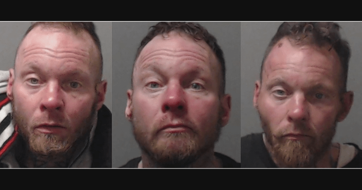 After greater than 400 police information, Kelowna reoffender launched on bail