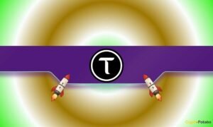 What Brought on the Rally and What Comes Subsequent?