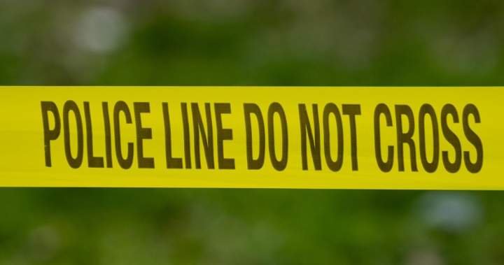 Surrey police cost man with manslaughter after lethal in a single day taking pictures