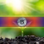 5 Key On-Chain Indicators to Watch With Bitcoin at Truthful Worth