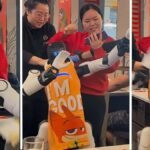 Dancing Robotic Refuses To Cease Inflicting Chaos At Household Restaurant