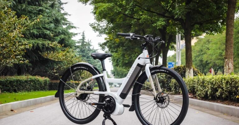 5 Issues You Ought to Be taught About Legal guidelines Earlier than Selecting an Electrical Bike