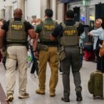 Federal immigration brokers filmed making airport arrests as Trump calls in ICE to ease safety line delays