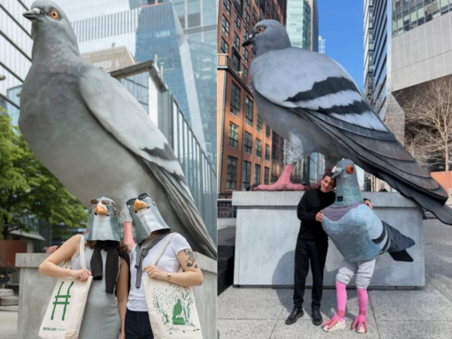 Farewell to New York’s 21-foot ‘dinosaur pigeon’ as Excessive Line celebrates viral sculpture’s ultimate bow