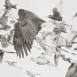 Dubai exhibition reimagines the language visually