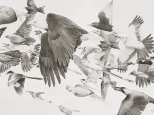 Dubai exhibition reimagines the language visually