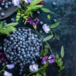 10 Confirmed Well being Advantages Of Blueberry