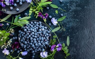 10 Confirmed Well being Advantages Of Blueberry