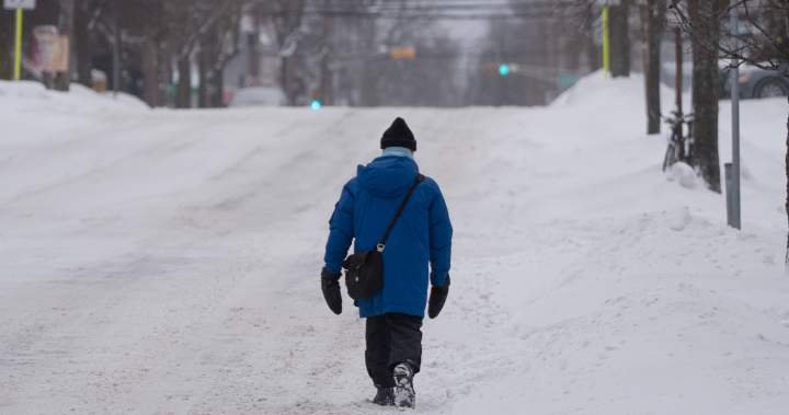 Elements of Nova Scotia, Quebec get early spring blast of snow