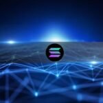 What the Basis Says It Affords