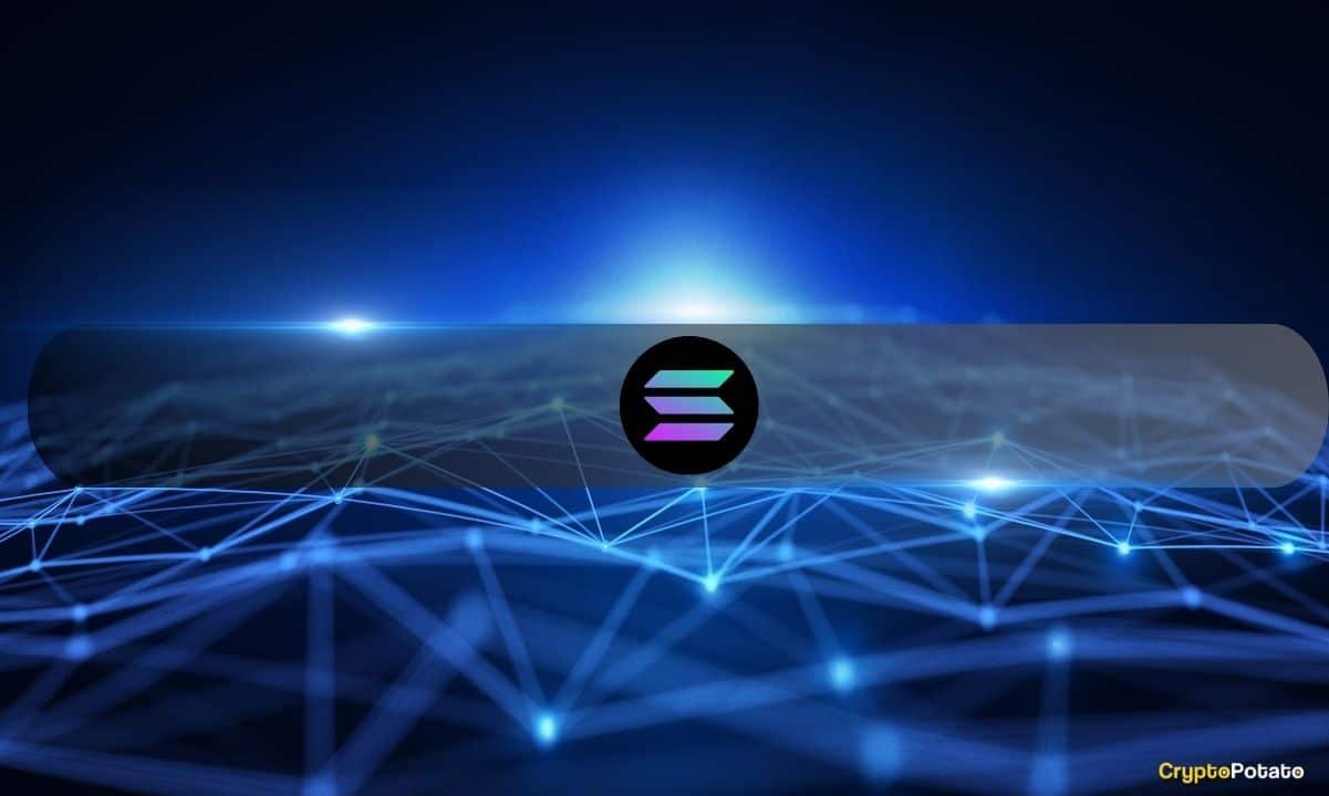 What the Basis Says It Affords