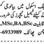 Taha Public Faculty Quetta Jobs 2026 for Feminine Academics 2026 Job Commercial Pakistan