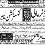 Building Labor & Mali Jobs 2026 in Saudi Arabia 2026 Job Commercial Pakistan