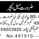 Farabi College System Chamkani Peshawar Jobs 2026 2026 Job Commercial Pakistan
