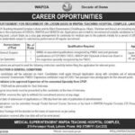 New Wapda Jobs in Lahore April 2026 Commercial